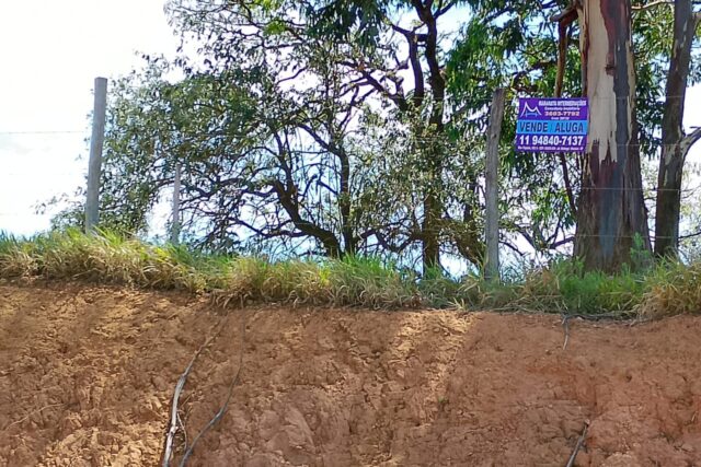 Terreno km68 doninha Castelo Branco